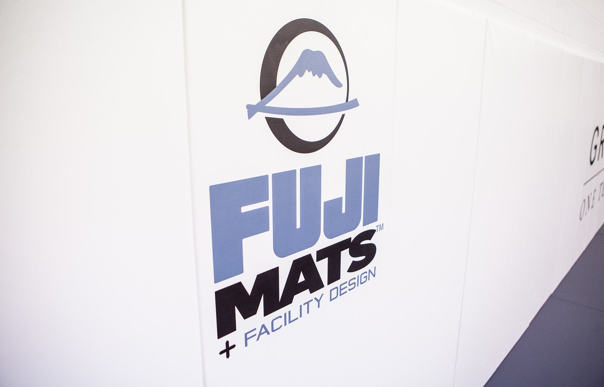 Wall Pads