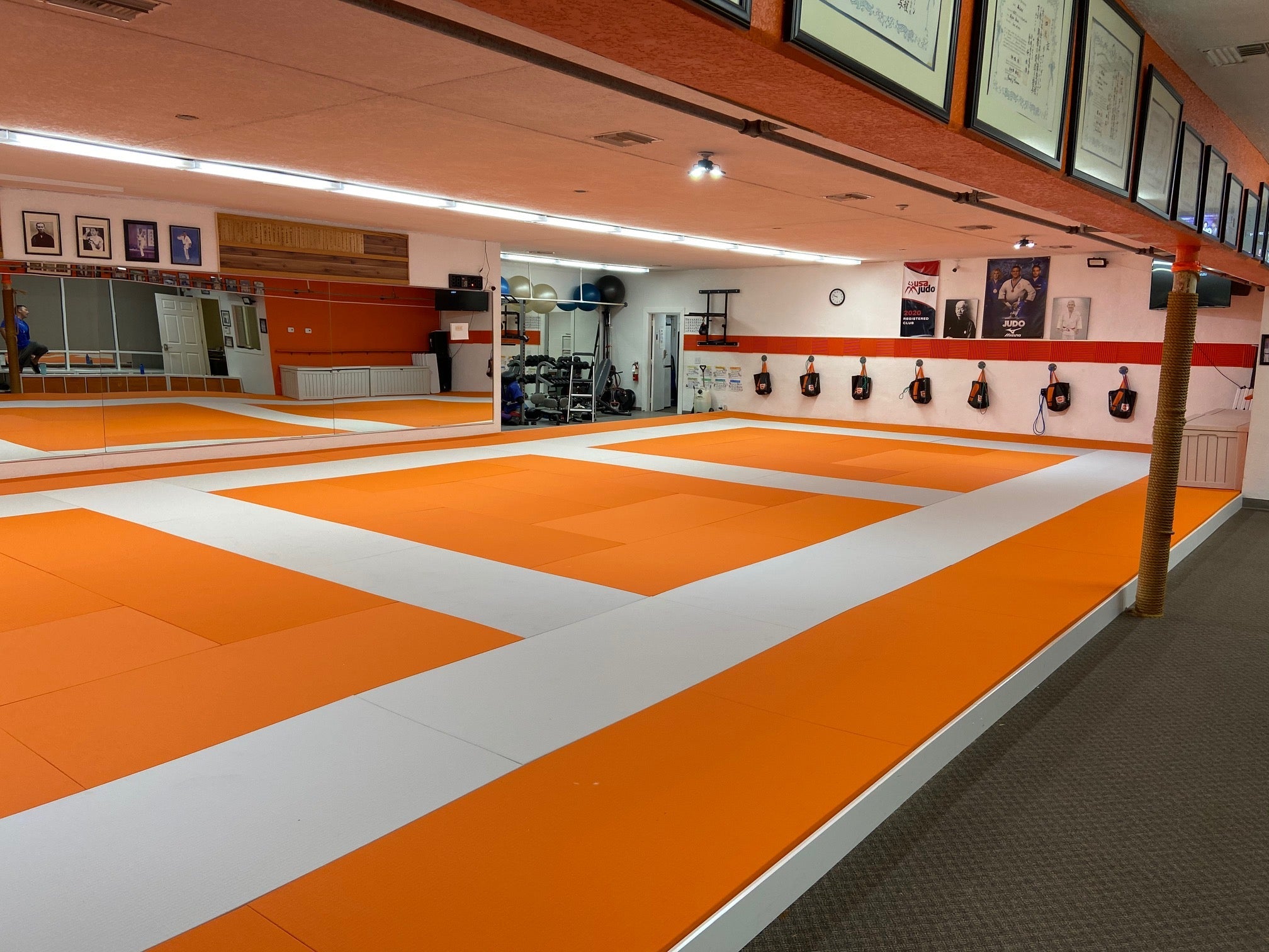 The Dojo