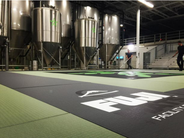 Tatami Series 2Mx1M