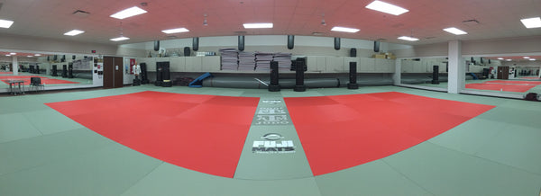 Tatami Series 2Mx1M